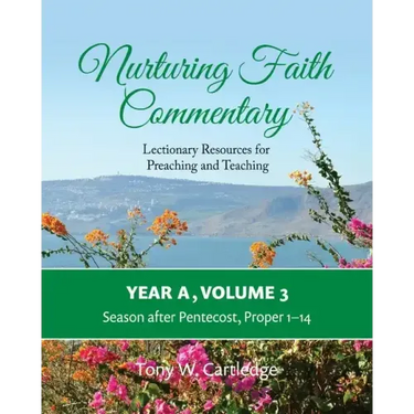 Nurturing Faith Commentary, Year A, Volume 3: Lectionary Resources for Preaching and Teaching-Season after Pentecost: Proper 1-14