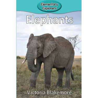 Elephants