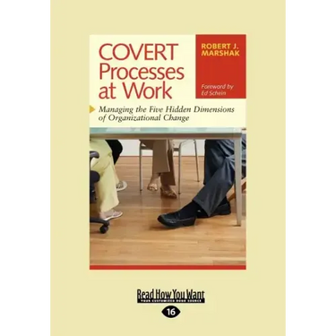 Covert Processes at Work: Managing the Five Hidden Dimensions of Organizational Change (Easyread Large Edition)