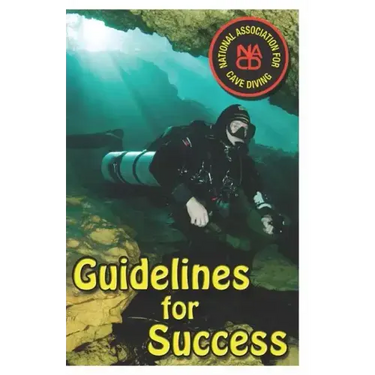 Guidelines for Success