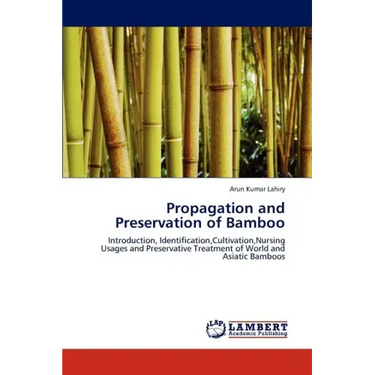 Propagation and Preservation of Bamboo