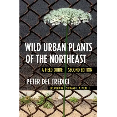 Wild Urban Plants of the Northeast: A Field Guide