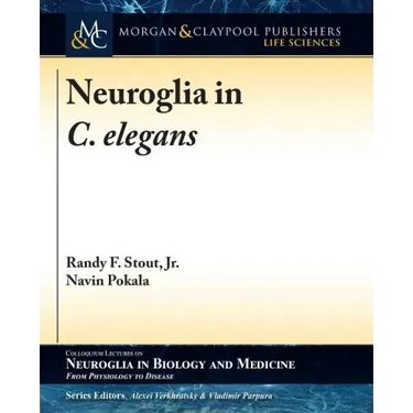 Neuroglia in C. elegans