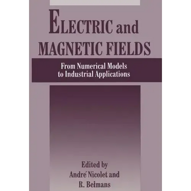 Electric and Magnetic Fields: From Numerical Models to Industrial Applications