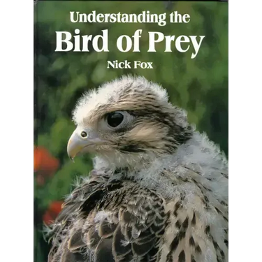 Understanding the Bird of Prey
