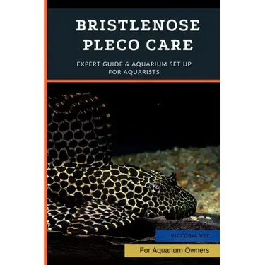 Bristlenose Pleco Care: Expert Guide & Aquarium Set Up For Aquarists