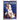 Encyclopedia of Leglocks: Brazilian Jiu Jitsu