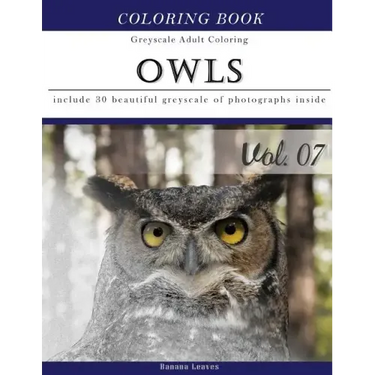 Owls World: Animal Gray Scale Photo Adult Coloring Book, Mind Relaxation Stress Relief Coloring Book Vol7: Series of coloring book