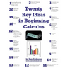 Twenty Key Ideas in Beginning Calculus