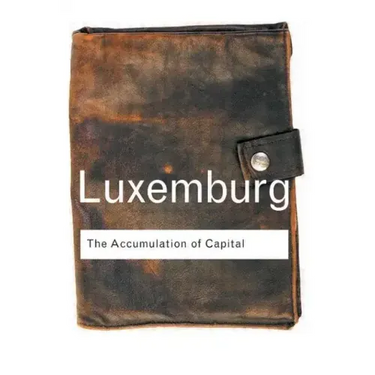 The Accumulation of Capital