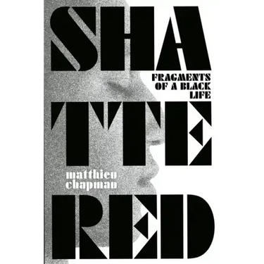 Shattered: Fragments of a Black Life