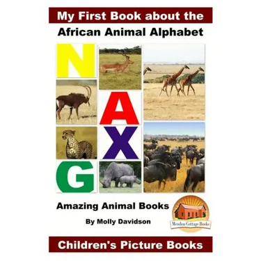 My First Book about the African Animal Alphabet - Amazing Animal Books - Children's Picture Books