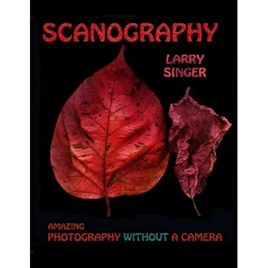 Scanography: Amazing Photography Without A Camera