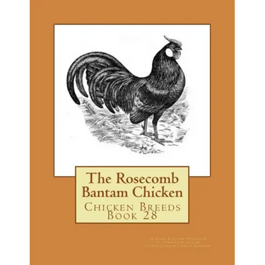 The Rosecomb Bantam Chicken: Chicken Breeds Book 28