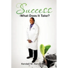 Success-What Does It Take?