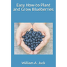 Easy How-To Plant and Grow Blueberries