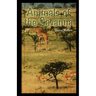 Animals of the Savannah