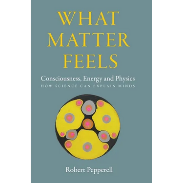What Matter Feels: Consciousness, Energy and Physics (How Science can Explain Minds)