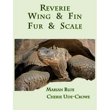 Reverie Wing & Fin Fur & Scale