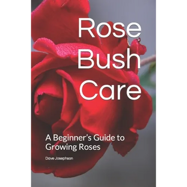 Rose Bush Care: A Beginner's Guide to Growing Roses