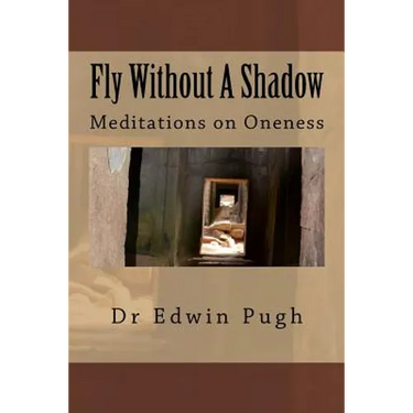 Fly Without A Shadow: Meditations on Oneness