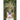 The Secret Garden