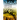Virality Vitality