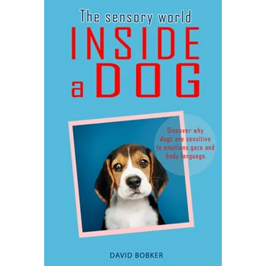 The Sensory World Inside a Dog: Discover why dogs are sensitive to emotions, gaze and body language