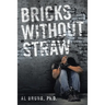 Bricks Without Straw