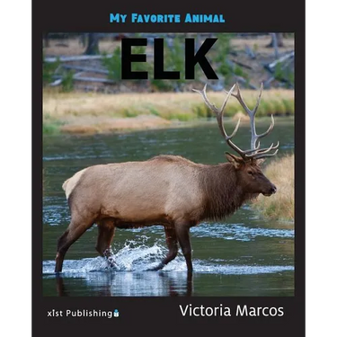 My Favorite Animal: Elk