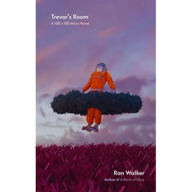 Trevor's Room: A 100 x 100 Micro Novel
