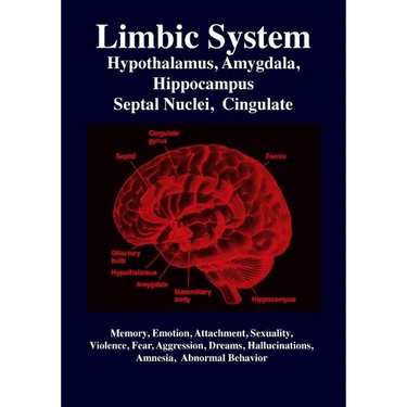 Limbic System: Amygdala, Hypothalamus, Septal Nuclei, Cingulate, Hippocampus: Emotion, Memory, Language, Development, Evolution, Love