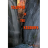 Trapped In The Narrows