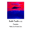 Double Trouble Vol III - Poemetrics: Poemetrics