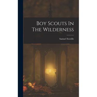 Boy Scouts In The Wilderness