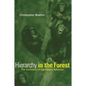 Hierarchy in the Forest: The Evolution of Egalitarian Behavior