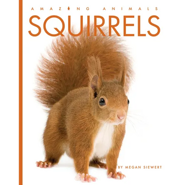 Squirrels