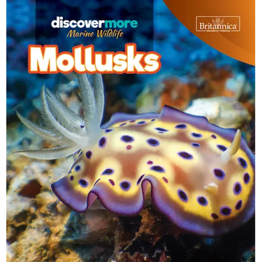 Mollusks