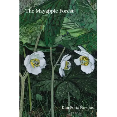 The Mayapple Forest