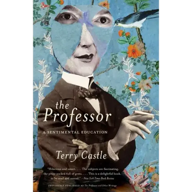 The Professor: A Sentimental Education