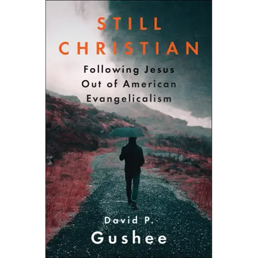 Still Christian: Following Jesus Out of American Evangelicalism