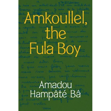 Amkoullel, the Fula Boy
