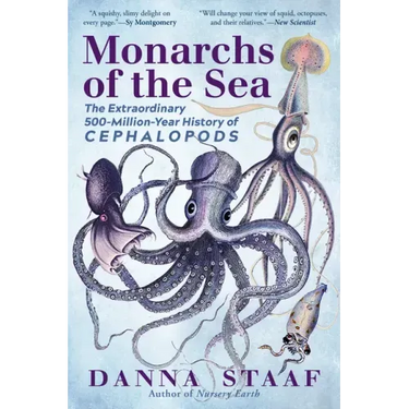 Monarchs of the Sea: The Extraordinary 500-Million-Year History of Cephalopods