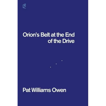 Orion's Belt at the End of the Drive