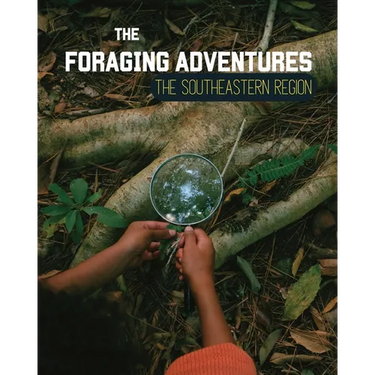 Foraging Adventures in the Southeast: Discovering the Wonders of Nature's Bounty