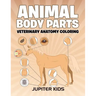 Animal Body Parts: Veterinary Anatomy Coloring