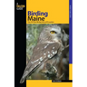 Birding Maine