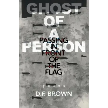 Ghost of a Person Passing in Front of the Flag: Poems