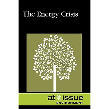 AI: The Energy Crisis -P