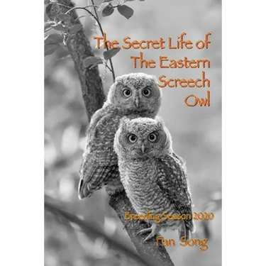 The Secret Life of Eastern Screech Owl: Breeding Season 2020